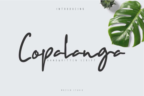 Copalanga: A Charming Script Font for Your Brand