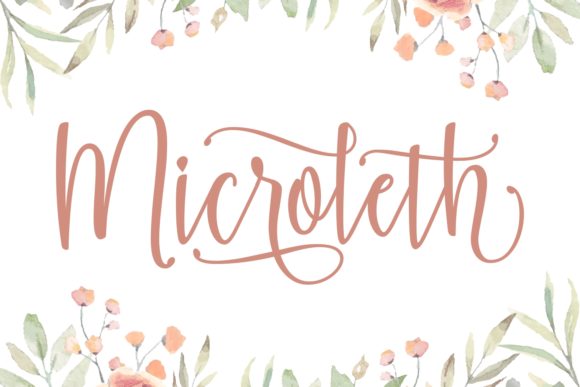 Microleth: A Friendly Script Font for Web Design