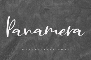 Panamera: A Sweet Script Font for Authentic Branding