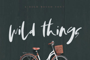 Wild Things: A Sunny Script Font for Branding
